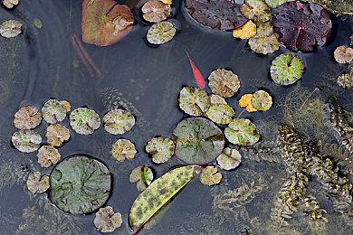 太空冒险射击游戏《和声》将于12月3日发行